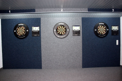 01_Dartanlage